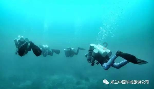mds妍肤精华油