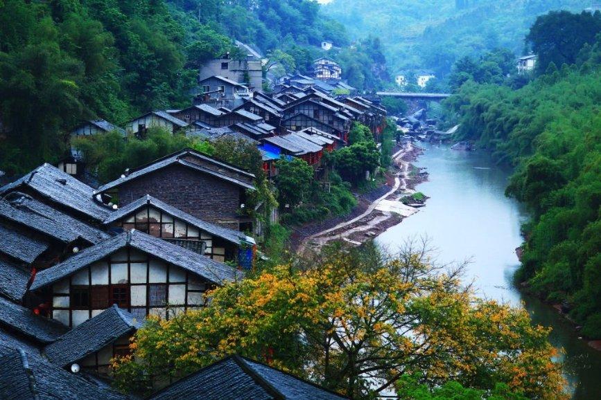 探索两只猫在校园里吵架遭围观,为何学生们试图劝架都劝不住?,尽享知识星球平台的独特魅力